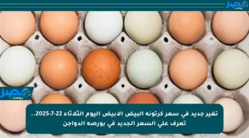 تغير جديد في سعر كرتونة البيض الأبيض اليوم الثلاثاء 22-7-2025.. تعرف على السعر الجديد في بورصة الدواجن